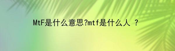 MtF是什么意思?mtf是什么人 ？