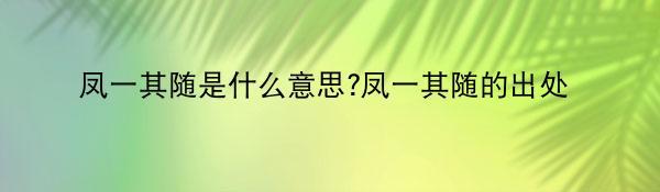 凤一其随是什么意思?凤一其随的出处