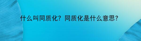 什么叫同质化？同质化是什么意思？