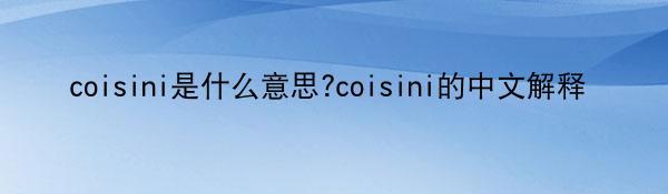 coisini是什么意思?coisini的中文解释