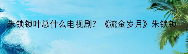 朱锁锁叶总什么电视剧？《流金岁月》朱锁锁