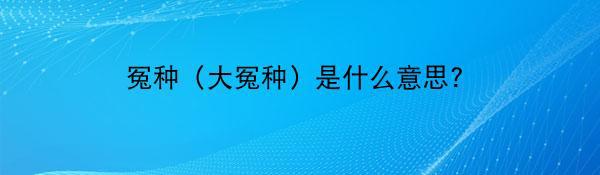 冤种（大冤种）是什么意思？