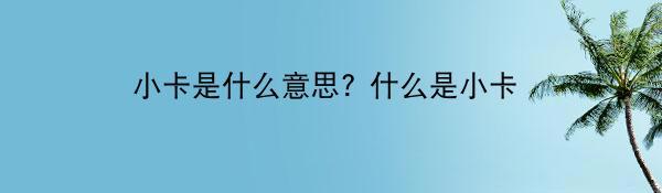 小卡是什么意思? 什么是小卡