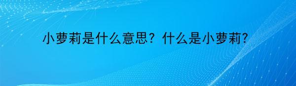 小萝莉是什么意思？什么是小萝莉？