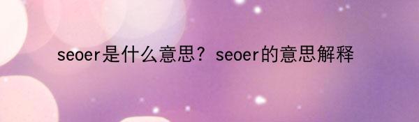 seoer是什么意思？seoer的意思解释