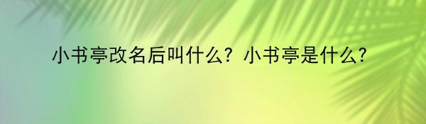 小书亭改名后叫什么？小书亭是什么？