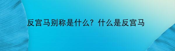 反宫马别称是什么？什么是反宫马