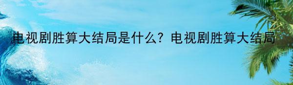 电视剧胜算大结局是什么？电视剧胜算大结局