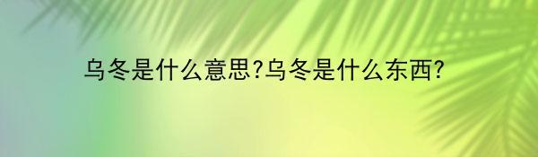 乌冬是什么意思?乌冬是什么东西？