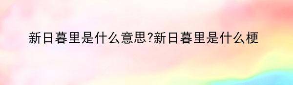 新日暮里是什么意思?新日暮里是什么梗