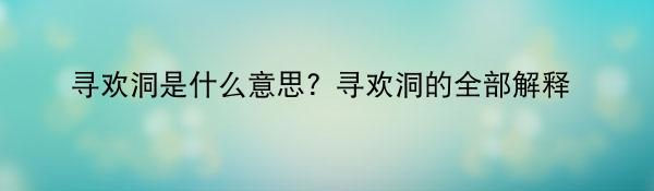 寻欢洞是什么意思？寻欢洞的全部解释