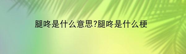 腿咚是什么意思?腿咚是什么梗