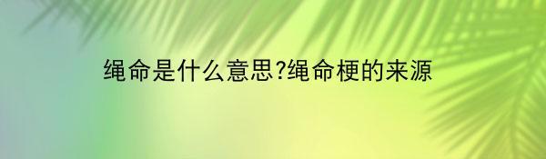 绳命是什么意思?绳命梗的来源