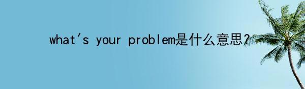 what’s your problem是什么意思?