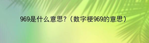 969是什么意思?（数字梗969的意思）