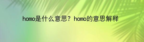 homo是什么意思？homo的意思解释