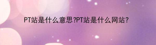 PT站是什么意思?PT站是什么网站?