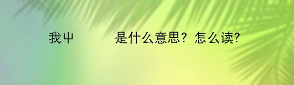 我屮艸芔茻是什么意思？怎么读?