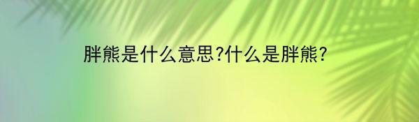 胖熊是什么意思?什么是胖熊?