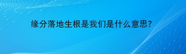 缘分落地生根是我们是什么意思？