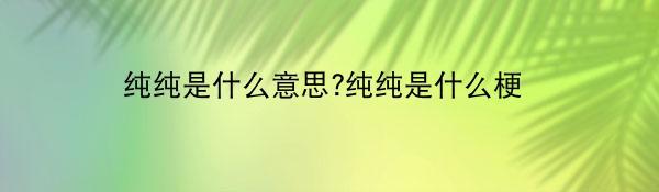 纯纯是什么意思?纯纯是什么梗