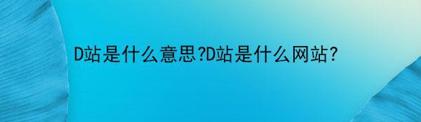 D站是什么意思?D站是什么网站？