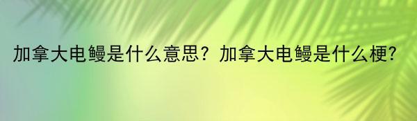 加拿大电鳗是什么意思？加拿大电鳗是什么梗？