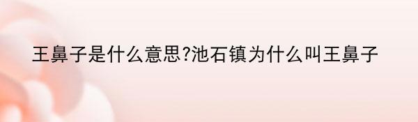 王鼻子是什么意思?池石镇为什么叫王鼻子