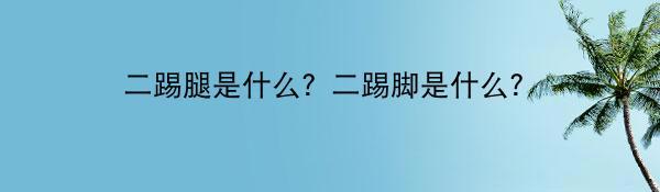 二踢腿是什么？二踢脚是什么?