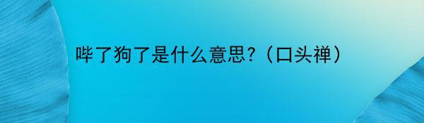 哔了狗了是什么意思?（口头禅）