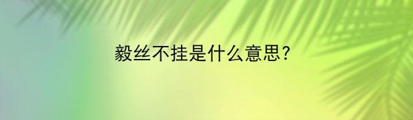 毅丝不挂是什么意思?