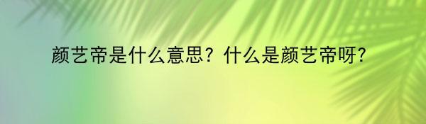 颜艺帝是什么意思? 什么是颜艺帝呀？