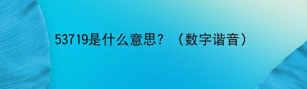 53719是什么意思？（数字谐音）