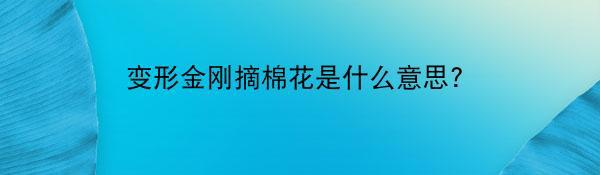 变形金刚摘棉花是什么意思?