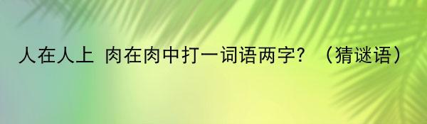 人在人上 肉在肉中打一词语两字？（猜谜语）