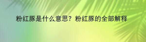 粉红豚是什么意思？粉红豚的全部解释