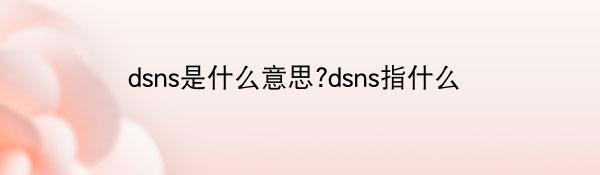 dsns是什么意思?dsns指什么