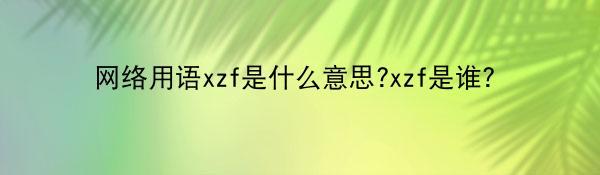 网络用语xzf是什么意思?xzf是谁？