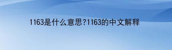 1163是什么意思?1163的中文解释