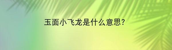 玉面小飞龙是什么意思？