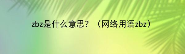 zbz是什么意思？（网络用语zbz）