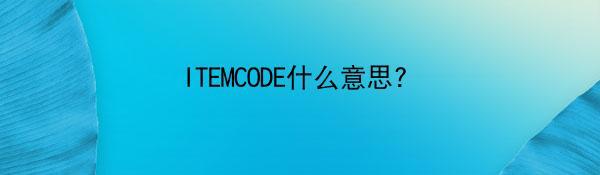 ITEMCODE什么意思？