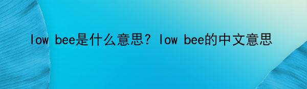 low bee是什么意思? low bee的中文意思