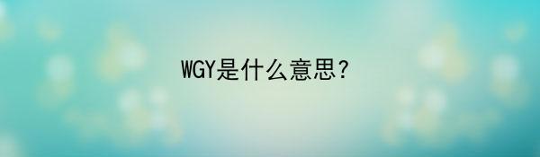 WGY是什么意思?